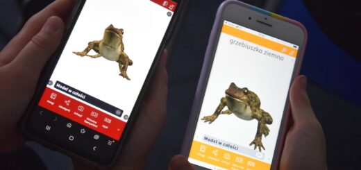Uczniowie trzymają dwa telefony na których widoczne są modele płazów.