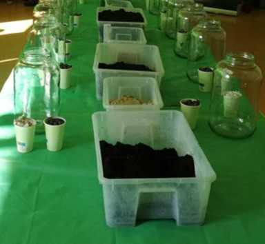 Na stołach stoją przygotowane na zajęcia duże słoje , w dużych pudłach znajduje się ziemia, kamyki, rośliny