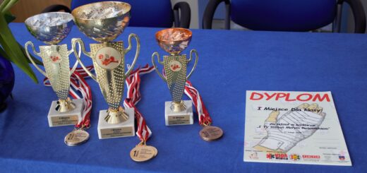 Na stole stoją trzy puchary obok których leżą dyplomy dla uczestników konkursu.