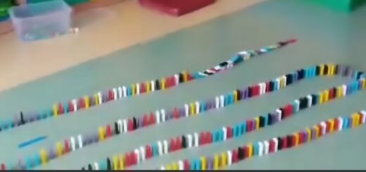 Na zdjęciu widać ustawione w kilku rzędach klocki domina. Niektóre z nich są przewrócone.