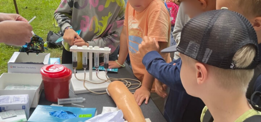 Dzieci przyglądają się ułożonym na stole zestawom potrzebnym do udzielenia pierwszej pomocy.